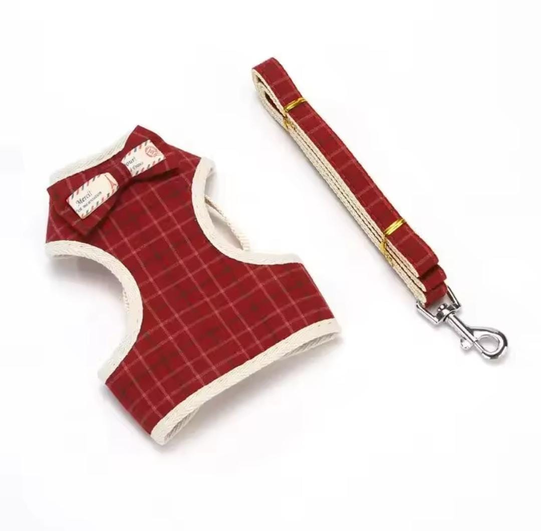 PetCharm Harness™ – Correa de Pecho con Lazo para Mascotas