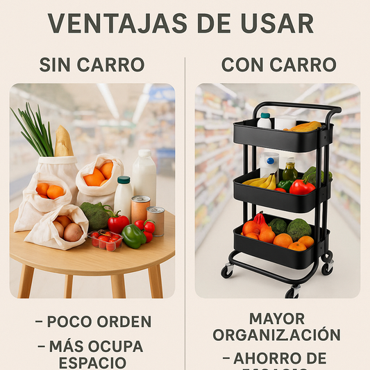 MaxiOrganiza 3X