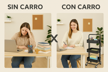 MaxiOrganiza 3X